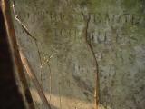 image of grave number 225749